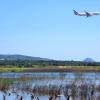 Re-flooded temporary wetland of Loutros, next to Athens International Airport.