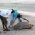 Mesuring a Loggerhead sea-turtle as it returns to the sea after nesting